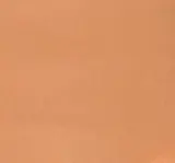 Тональный флюид MTJ Cosmetics Revitalizing Foundation восстанавливающий сатиновый, 30 мл, оттенок N40R — фото 1