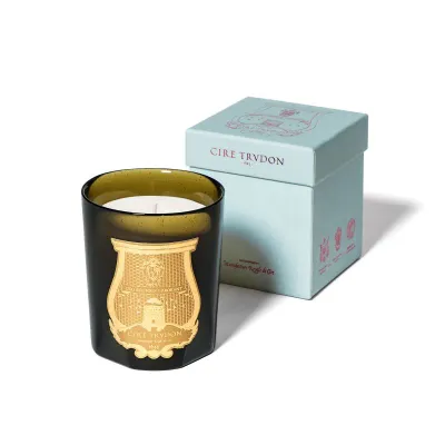 Ароматическая свеча Trudon Ernesto, 270 г