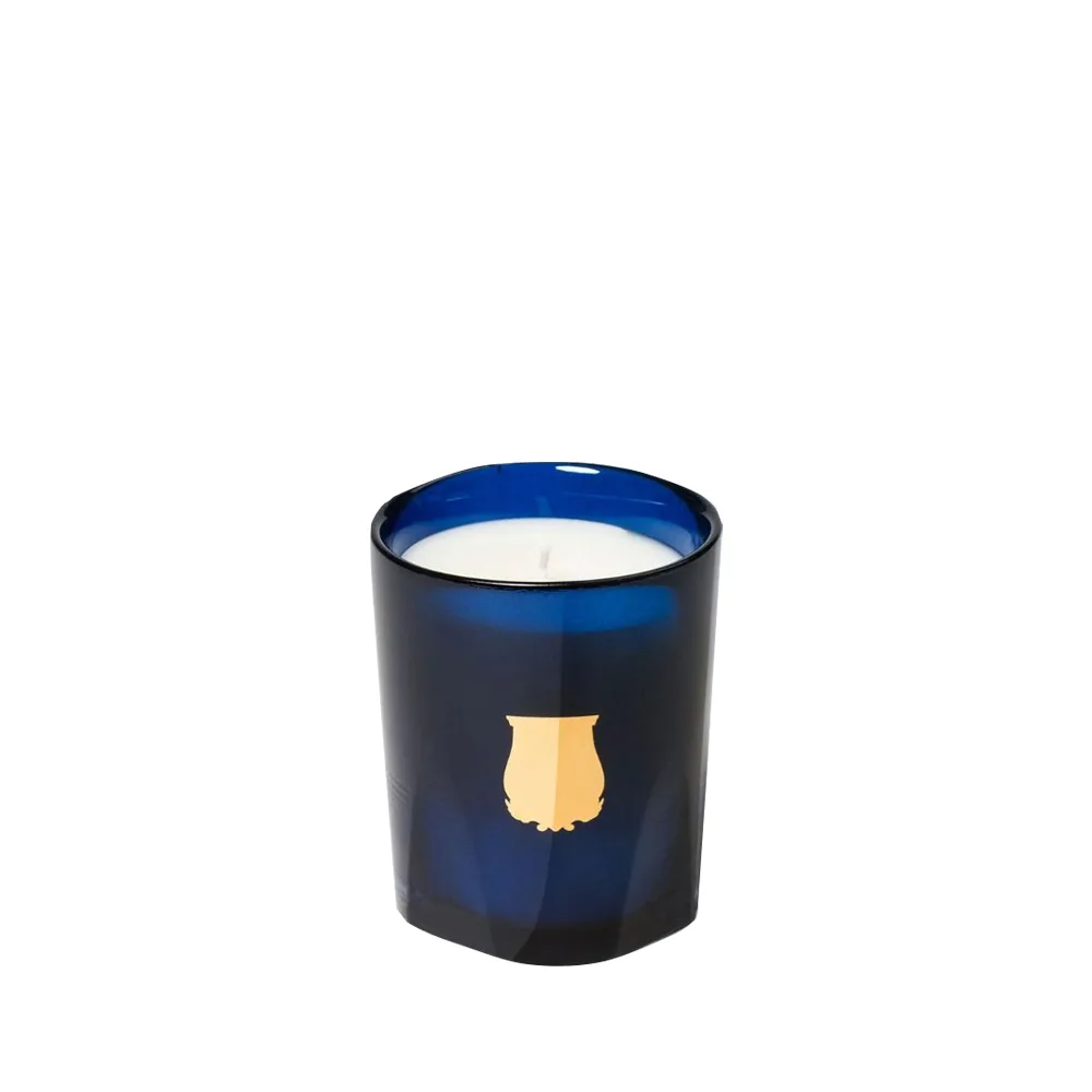 Ароматическая свеча Trudon Salta, 70 г