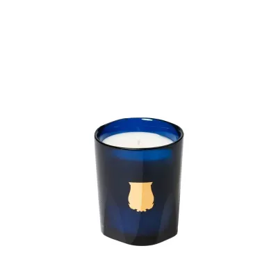 Ароматическая свеча Trudon Salta, 70 г