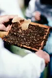Ароматическая свеча Trudon, 270 г — фото 3