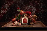 Лосьон для тела Santa Maria Novella Fluid Cream Melograno, 250 мл — фото 3