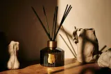 Ароматический диффузор Trudon Gabriel, 300 мл — фото 3