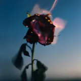 Ароматическая свеча Byredo Burning Rose — фото 4