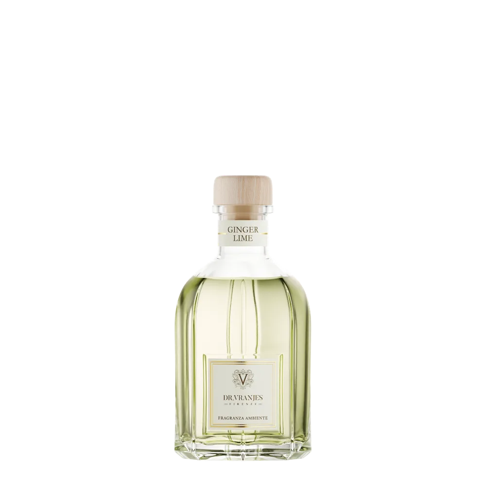 Ароматический диффузор Dr. Vranjes Firenze Ginger Lime
