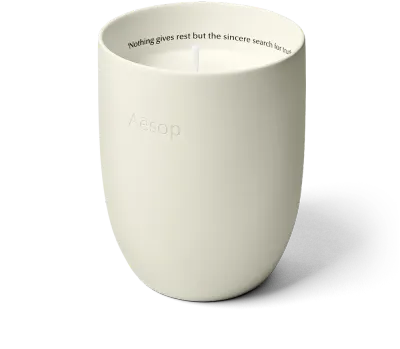 Ароматическая свеча Aēsop Callippus, 300 г