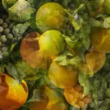 Ароматический диффузор Dr. Vranjes Firenze Chinotto Pepe — фото 8