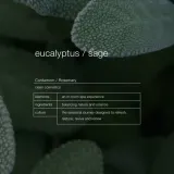 Гель для душа Zenology Exfoliating Wash Eucalyptus & Sage, 500 мл — фото 2