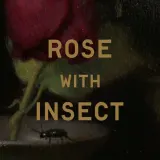Благовония Perfumer H Rose With Insects XL — фото 4