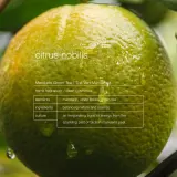 Шампунь Zenology Nourishing Citrus Nobilis, 500 мл — фото 2