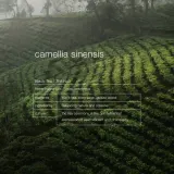 Кондиционер для волос Zenology Vitalizing Camellia Sinensis, 500 мл — фото 2