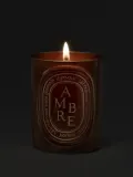Ароматическая свеча Diptyque Ambre — фото 4