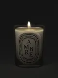 Ароматическая свеча Diptyque Ambre — фото 5