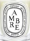 Ароматическая свеча Diptyque Ambre — фото 7