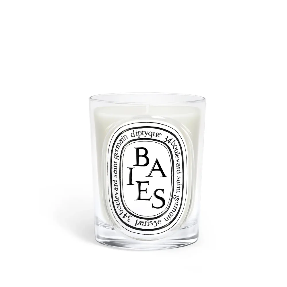 Ароматическая свеча Diptyque Baies