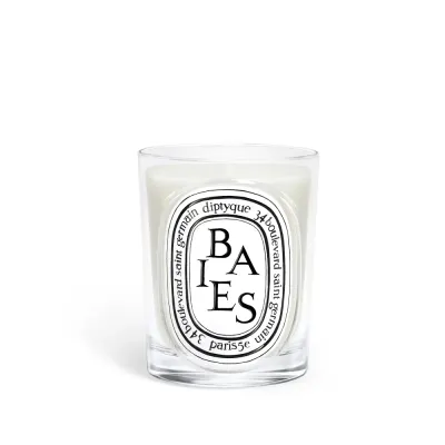 Ароматическая свеча Diptyque Baies