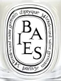 Ароматическая свеча Diptyque Baies — фото 7