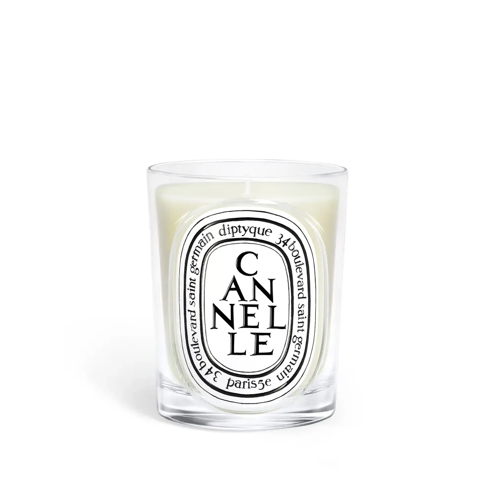 Ароматическая свеча Diptyque Cannelle, 190 г