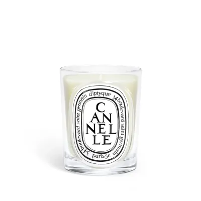 Ароматическая свеча Diptyque Cannelle, 190 г