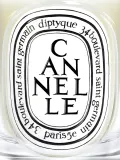 Ароматическая свеча Diptyque Cannelle, 190 г — фото 3