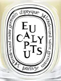 Ароматическая свеча Diptyque Eucalyptus, 190 г — фото 3