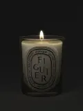 Ароматическая свеча Diptyque Figuier — фото 5