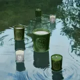 Ароматическая свеча Diptyque Figuier — фото 8