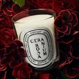 Ароматическая свеча Diptyque Geranium Rosa, 190 г — фото 4