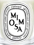 Ароматическая свеча Diptyque Mimosa — фото 4
