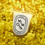 Ароматическая свеча Diptyque Mimosa — фото 5