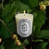 Ароматическая свеча Diptyque Noisetier, 190 г — фото 4