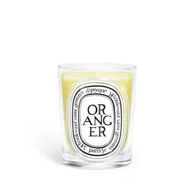 Ароматическая свеча Diptyque Oranger, 190 г