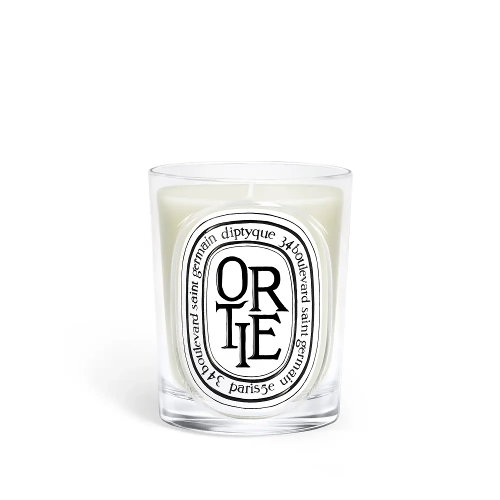 Ароматическая свеча Diptyque Ortie, 190 г