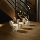 Ароматическая свеча Diptyque Santal — фото 6