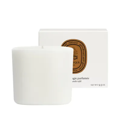 Ароматическая свеча Diptyque Terres Blondes