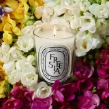 Ароматическая свеча Diptyque Freesia, 190 г — фото 5