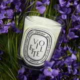 Ароматическая свеча Diptyque Violette, 190 г — фото 3