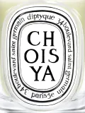 Ароматическая свеча Diptyque Choisya, 190 г — фото 5