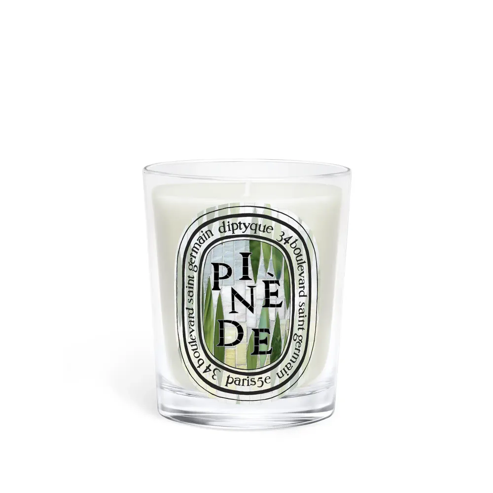 Ароматическая свеча Diptyque Pinède, 190 г