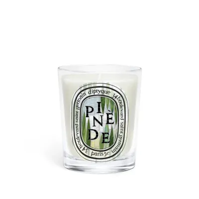 Ароматическая свеча Diptyque Pinède, 190 г