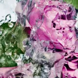 Гель для душа Byredo Lost Rose, 450 мл — фото 3
