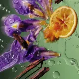 Мист для тела Byredo Gypsy Water, 100 мл — фото 5