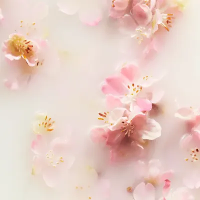 Крем для рук RITUALS The Ritual of Sakura, 70 мл