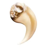 L'Oreal Professionnel Absolute Repair Шампунь для повреждённых волос 300 мл — фото 3