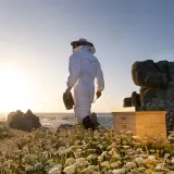 Кондиционер для волос GUERLAIN Royal Bee, 150 мл — фото 5