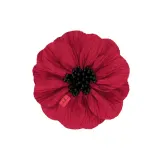 Заколка для волос invisibobble CLIPSTAR PREMIUM Bloom, оттенок Czerwony — фото 1