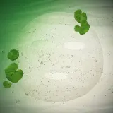 Интенсивная маска сыворотки для восстановления и смягчения Dr.jart+ Cicapair, 25 г — фото 5
