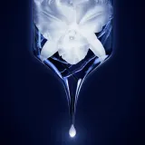 Пенка для лица: Пенящий гель GUERLAIN Orchidee Imperiale, 150 мл — фото 2