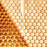 Тоник укрепляющий с молочком пчелы GUERLAIN Abeille Royale Fortifying Lotion — фото 2
