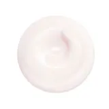 Крем для лица на день "Активирующий увлажняющий крем" Shiseido Essential Energy, 50 мл — фото 1